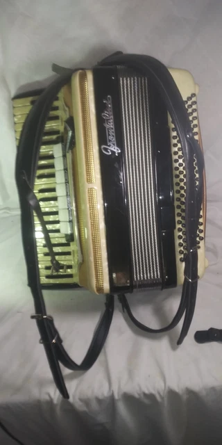 Frontalini 120 Bass Accordion With Case Palm Switch 3 Sets Treble Reeds LMH 120