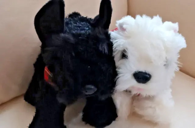 Pair of Keel Toys Simply Soft Scottie Dogs