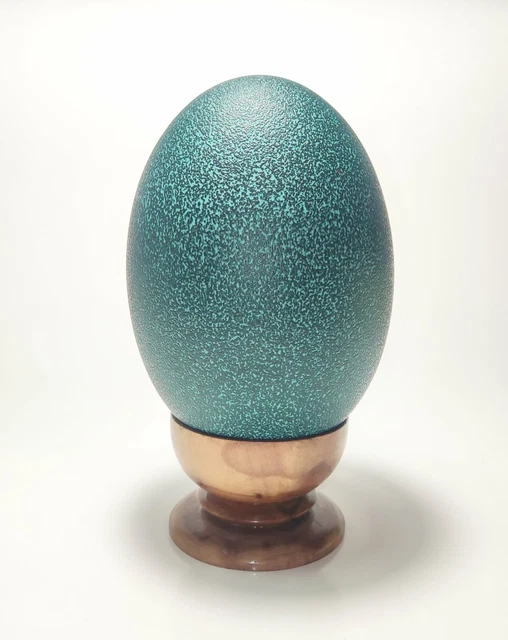 Emu Egg Large Blowown Out Precio para 1PC agujero poco profundo