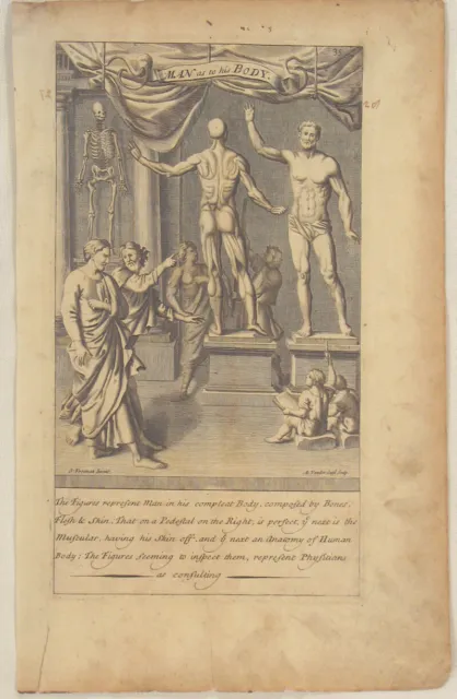 SKELETT Mensch Anatomie Orig. Kupferstich um 1780 Bodybuilding Medizin Studium