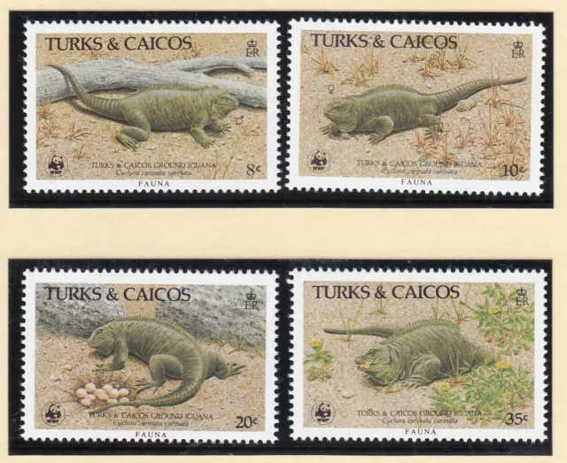 (120521) Iguana WWF Turcas y Caicos Estampillada sin montar o nunca montada 1986