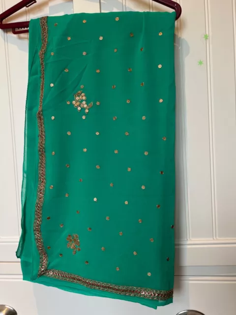 Women’s Turquoise Blue/green Indian hand work pure chiffon boutique Saree New