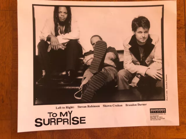 To My Surprise Vintage Very Rare 10x8 Press Photo - Roadrunner