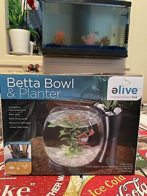 Elive Betta Fish Bowl & Planter Set Up Tank Kit White .75 Gallon LED Light Timer