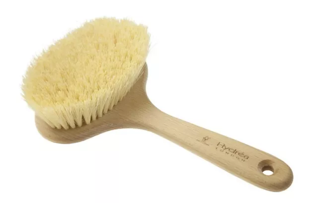 Hydrea London Dry Body Brush - Extra Long Cactus 40mm (WSH3S/40-HD)