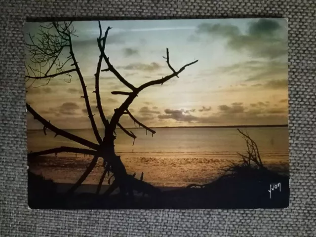 Charente Maritime Coucher De Soleil Sur La Côte Sauvage