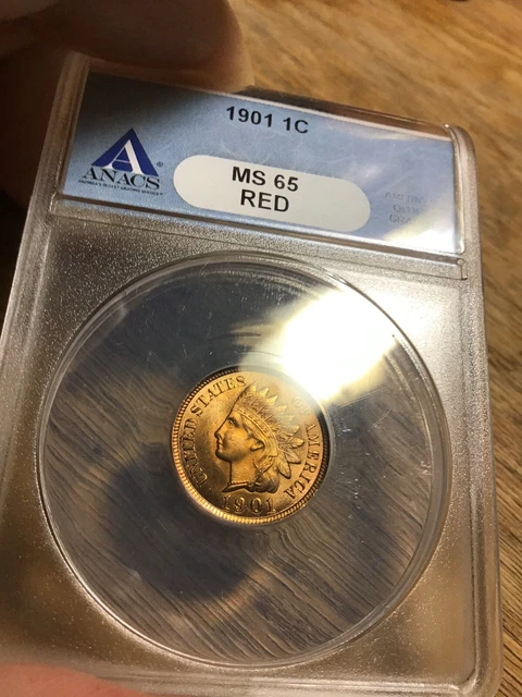 1901 Indian Head Cent - ANACS MS65RD - 7-day auction - Nice *Look!*