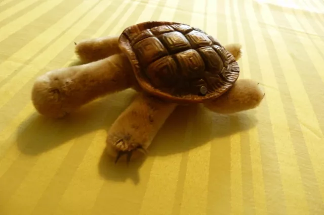 Schildkröte der Marke "Steiff" Geschenk aus 1960 "SLO"