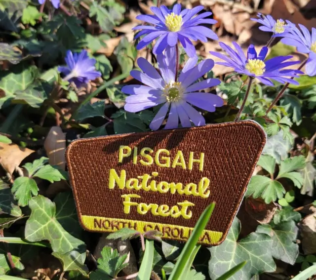 Pisgah National Forest Patch Embroidered 3.75" x 2.5" North Carolina Iron Or Sew