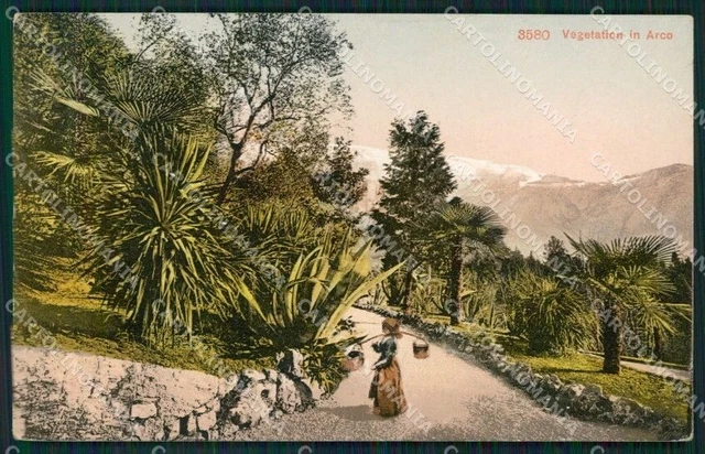 Trento Arco cartolina QZ9421