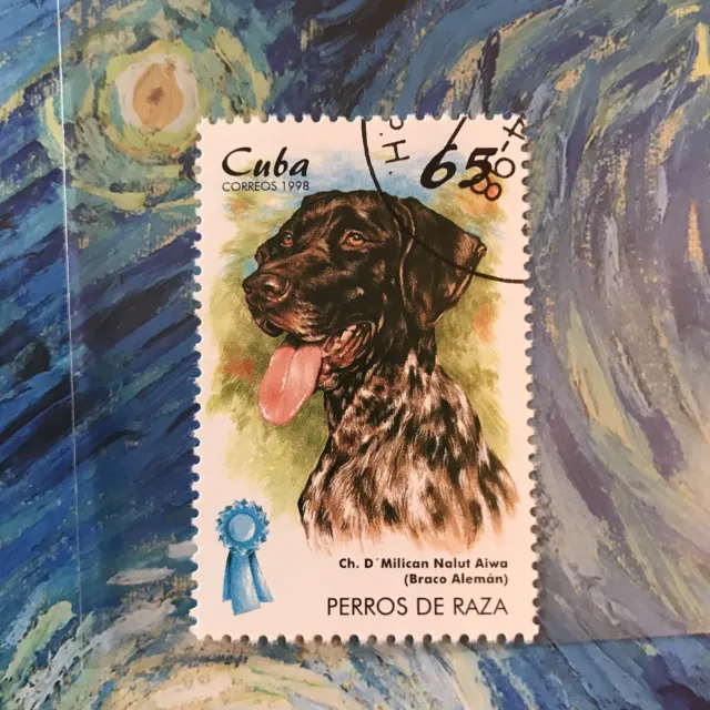 German Shorthaired Pointer Dog Stamp Dogs Collectible Dog23
