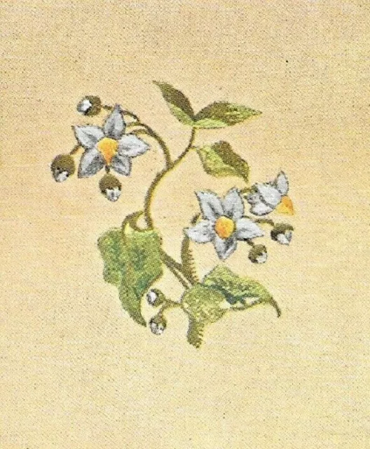 Vintage Embroidery Transfer Iron On Black Nightshade Flower Instructions Anchor