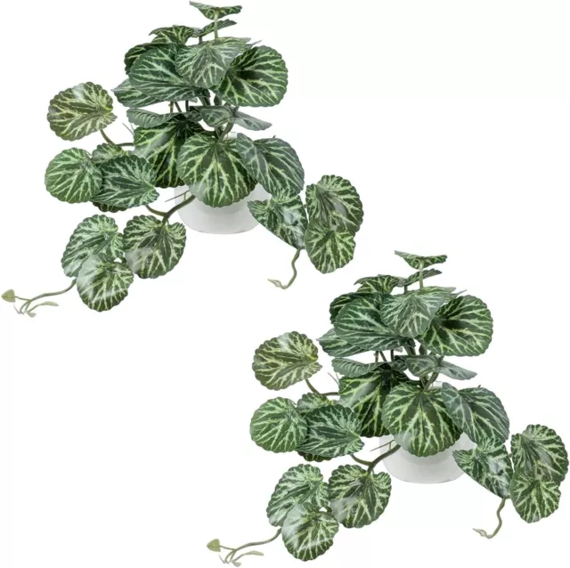 Wall Mounted Artificial Green Leafy Draping Plant in White Ceramic Pot, Set of 2