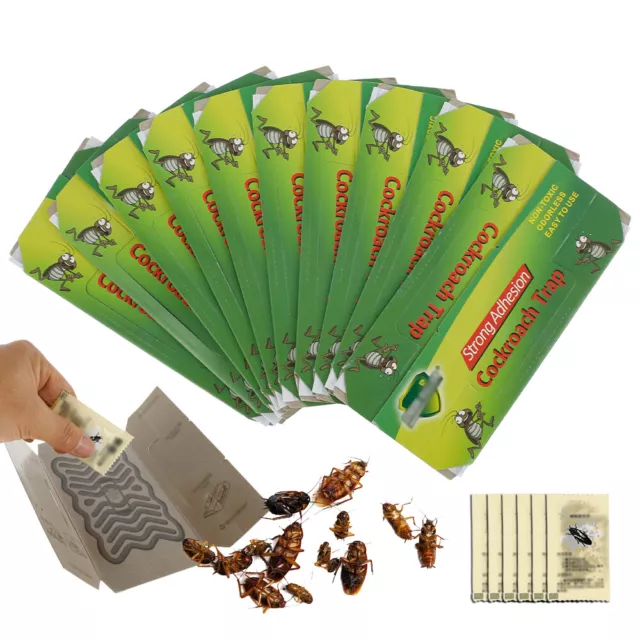 10x Cockroach Trap Bait Sticky Traps Glue Cockroaches Insect Bug Pest Control*.