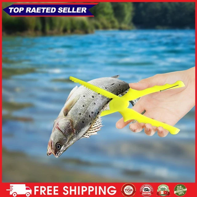 9 Galleggianti Pesca Assortiti Lineaeffe - Caricati Tipo Waggler Per Carpa, Fiume, Lago