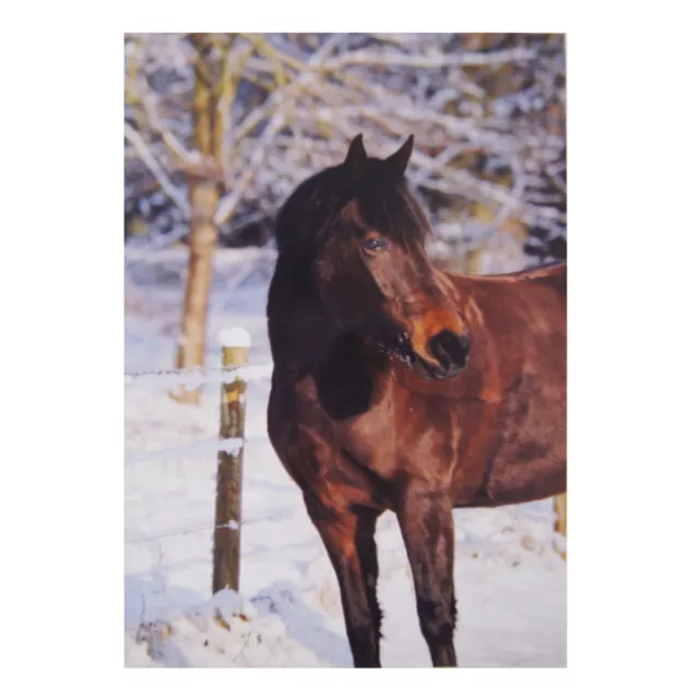 Kevin Milner - Carte de Noël BAY HORSE IN THE SNOW (BZ4090)
