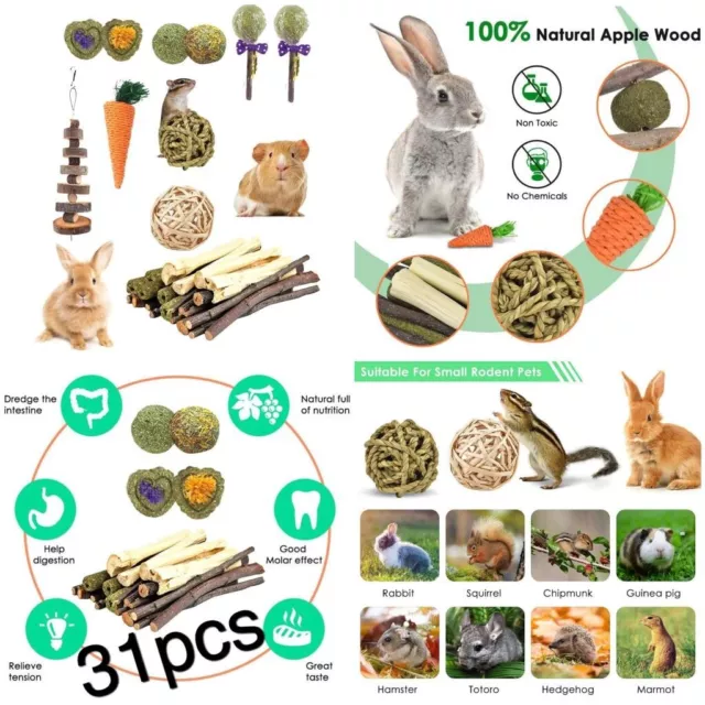 31Pcs Chew Toys Set for Rabbit Guinea Pig Hamster Chinchillas Small Animal