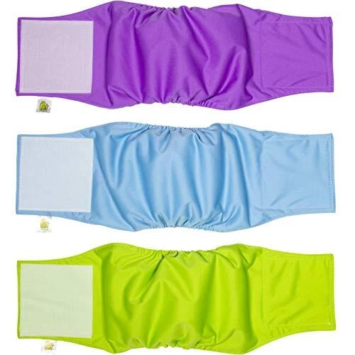 PET MAGASIN Lot de 3 Couches pour Chien mâle Bleu Vert et Violet Taille S