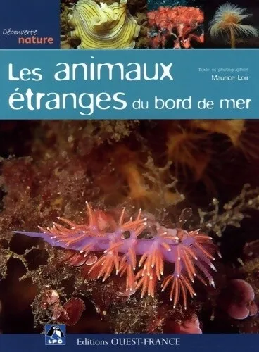 2881054 - Les animaux étranges du bord de mer - Maurice Loir