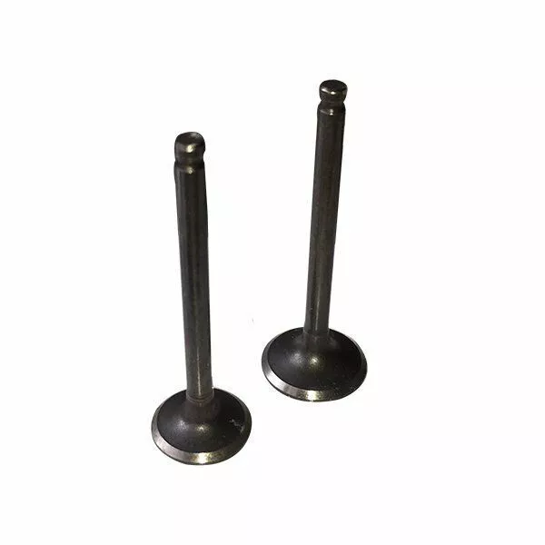 HMParts Pit Bike Dirt Bike Scimmia Atv Set Valvole Lifan 125 Ccm