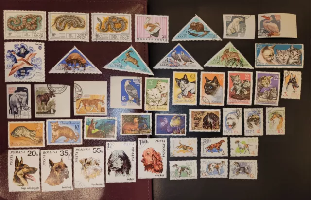 Lot41 Briefmarken Motivsammlung Tiere Gestempelt Europa/UDSSR Shipping 🌐