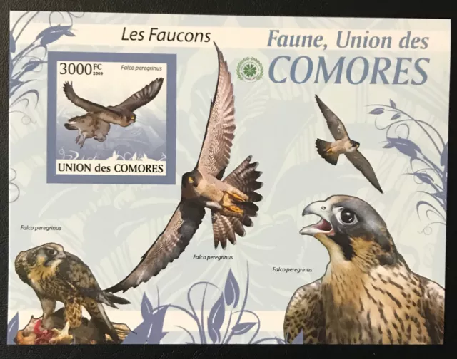 Comores Komoren 2009**   Vögel / Birds  Raubvögel   Ungezähnt / Imperf.  MNH