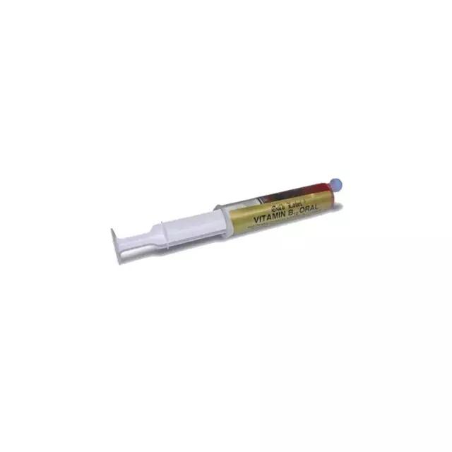 Gold Label Vitamin B12 Oral Horse Syringe 20ml - Equestrian / Horse