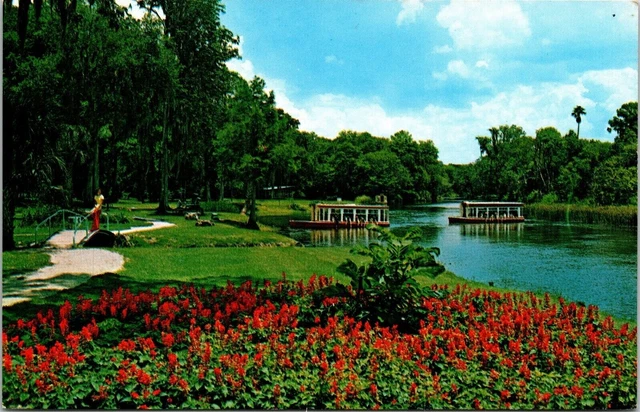View Glass Bottom Boat Silver River Florida Silver Springs FL Postcard UNP VTG