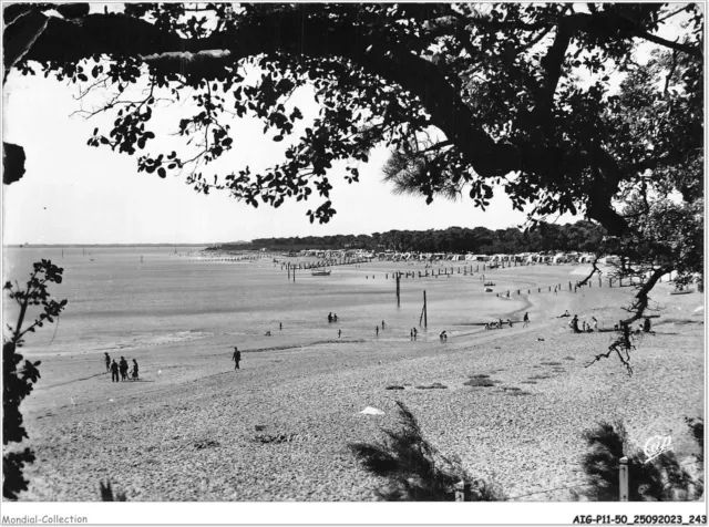 AIGP11-85-1242 - ILE DE NOIRMOUTIER - plage des sableaux