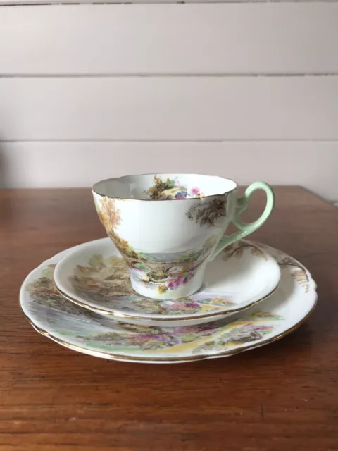 Vintage Shelley Heather Tea Trio Large Plate Saucer And Cup Cambridge Cup Shape