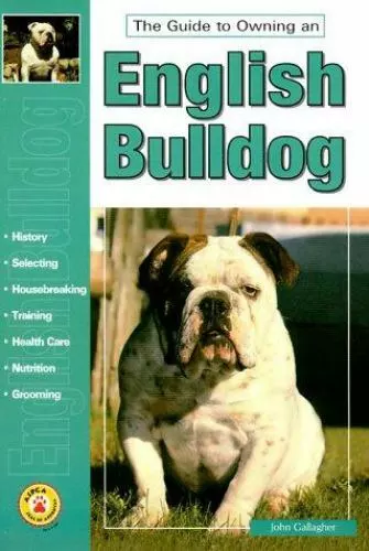 The Guide to Owning an English Bulldog by Gallagher, John