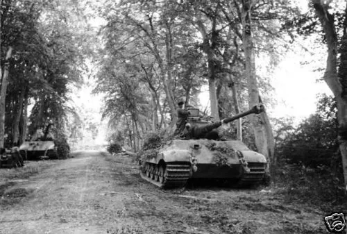 B&W WWII Photo German Tiger II on Road  Pzkpfw. VI WW2  World War Two Wehrmacht