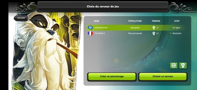 Compte Dofus 130 Grade 10 Toulouse 31200 Jeux Vidéo
