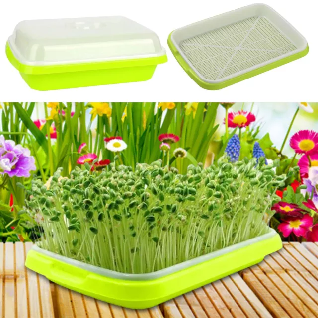 Seed Sprouter Sprouting Trays Soil-Free Germination Kit Kitchen Crop Hydrophobic