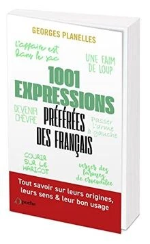 Guide Officiel Français RAGE - Bethesda - 2011 - Très Bon état
