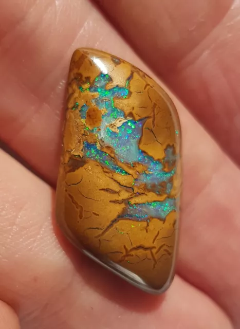 19,80cts Opale Boulder d'Australie cabochon