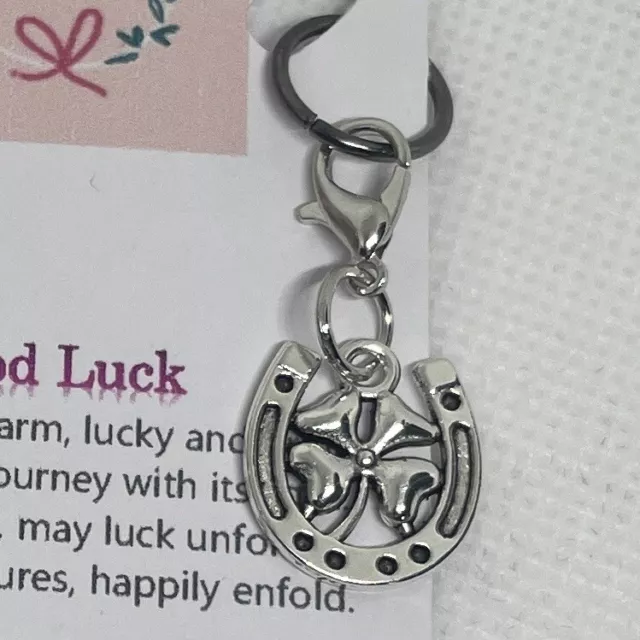 Good Luck Token / Lucky Horse Shoe / Gift / Exams / Job / Life 2