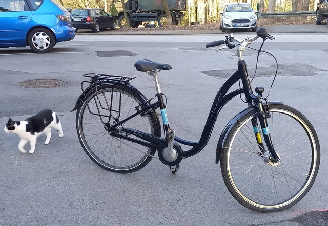 28 zoll trekking fahrrad herren City Cityrad Urban Bike UR.2880 Shimano Nexus 8 Schwarz Matt 53 58 cm L XL günstig kaufen Warntafel Italien: 50x50 cm City Electric Bikes Color:TURQUOISE