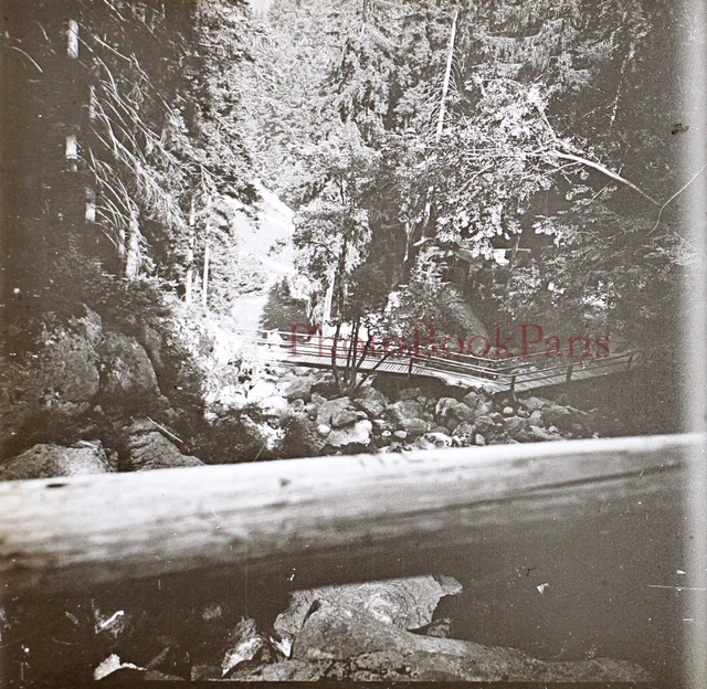 Deutschland Triberg Cascade c1920 Foto Platte De Verre Stereo Vintage P30L8n17