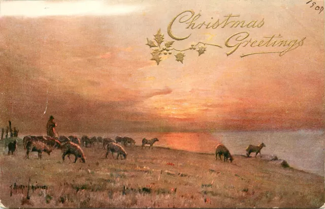 THE SHEPHERD sheep grazing at sunset, Christmas Greetings, 1909, Tuck, 2737