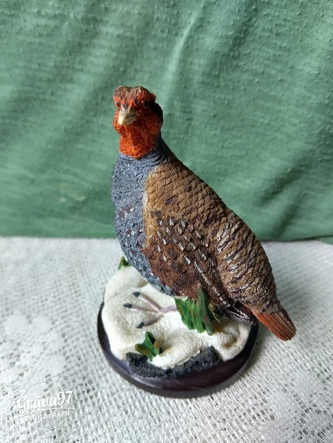 Perdrix naturalisée (Alectoris graeca), oiseau empaillé