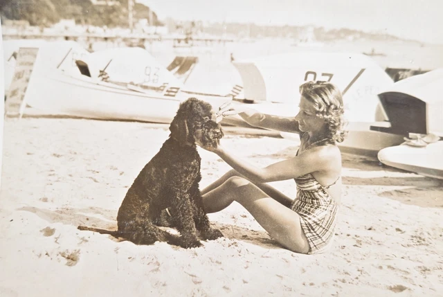Autres, Photographies, Collections - PicClick FR