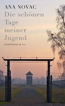 Die schönen Tage meiner Jugend von Ana Novac | Buch | Zustand sehr gut