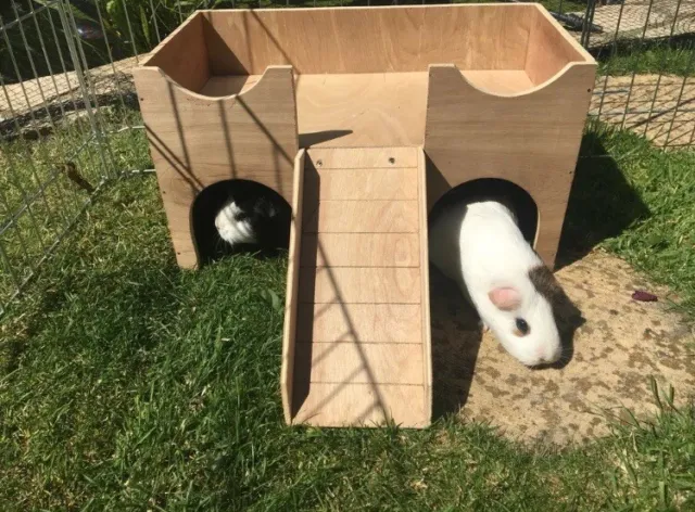 Handmade Guinea Pig Castle House Hide Out