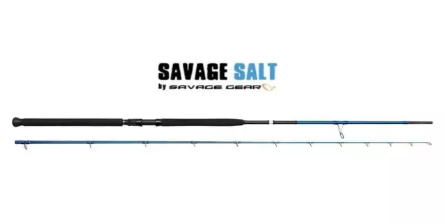 Shore Jigging Canna Savage Gear Sgs2 Rod Pesca Spinning Mare Jig Carbonio