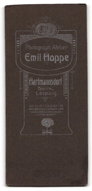 Fotografie Emil Hoppe, Hartmannsdorf, Portrait bürgerliche Dame mit Blumen an T 2