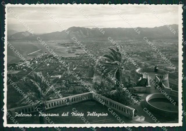 Palermo Città Monte Pellegrino Foto FG cartolina KV7444