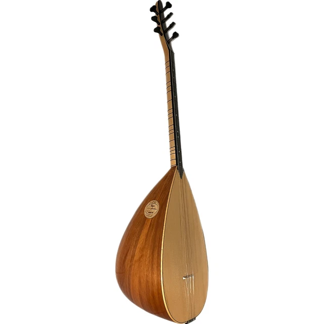 2 X Chitarra Elettrica Collo Pagaia Testa Palissandro su
