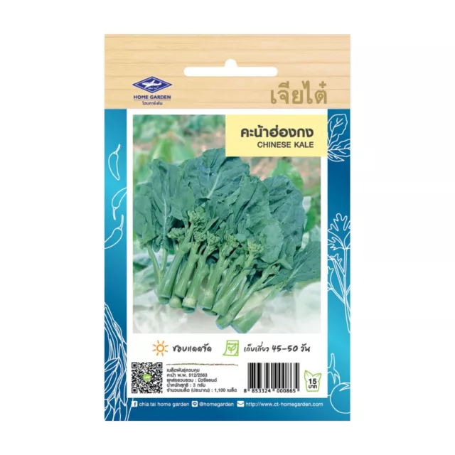 Chinese Kale Seeds Home Garden Asian Fresh Vegetable The Best Thai Seeds