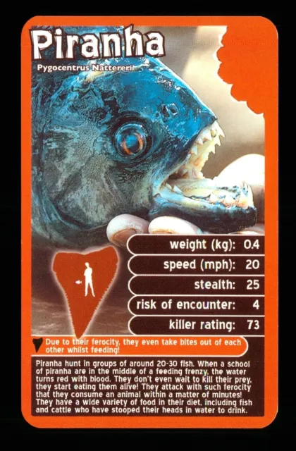 1 x info card deadliest predator Piranha fish - R114